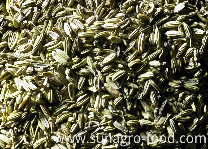 Organic Non-Polluting Fennel Seeds